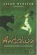 LSJP BRAZIL BOOK Andaluz Unraveling Mysteries Of Spain - Autres & Non Classés