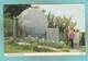 Small Post Card Of The Globe Nr. ,Swanage, Dorset,N73. - Swanage
