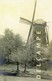 SINT-GILLIS-bij-DENDERMONDE (O.Vl.) - Molen/moulin - Zeer Zeldzame Opname Van De Zwijvekemolen Ca. 1900 In De Winter - Dendermonde