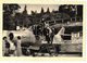 GARD NÎMES VERITABLE PHOTO DENTELEE : LE JARDIN DE LA FONTAINE AVION MYSTERE II ET BANDE DE COPAINS Le 19 Juin 1958 - Aviation