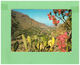 1975 ESPANA GRAN CANARIA POSTCARD WITH 1 STAMP TO GERMANY - Storia Postale