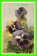 FLEURS - VIOLA TRICOLOR - PENSÉE - PANSY, PANZEA - CIRCULÉE EN 1929 - - Fleurs