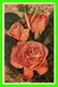 FLEURS - ROSES, MRS SAM McGREDY, HYBRID TEA ROSE - J. ARTHUR DIXON LTD - - Fleurs