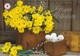 Easter Flowers - Daffodils - Willows - Eggs - Red Cross - Postal Stationery - Suomi Finland - Postage Paid - Entiers Postaux