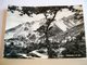 1955 - Massa  Carrara -  Colonnata E Le Cave - Panorama  - Alpi Apuane - Carrara