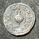 Ancient Judean Bar Kokhba Revolt Undated Zuz/silver Denarius Attributed To Year 3 - Les Julio-Claudiens (-27 à 69)