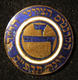 Austrian Judaica 14th Zionist Congress Delegate's Pin, 1925 By M. Hammer - Autres & Non Classés