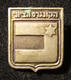 Eretz Israeli 20th Zionist Congress Delegate Pin By Moshe Moro 1937 - Autres & Non Classés