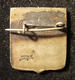 Eretz Israeli 20th Zionist Congress Delegate Pin By Moshe Moro 1937 - Autres & Non Classés