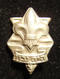 Delcampe - Lot 13x Pins & Emblems Related To The Israeli Boy Scouts Movement - Asociaciones