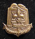 Delcampe - Lot 13x Pins & Emblems Related To The Israeli Boy Scouts Movement - Asociaciones