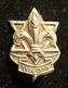 Delcampe - Lot 13x Pins & Emblems Related To The Israeli Boy Scouts Movement - Asociaciones