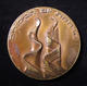 Israeli Army/IDF 14th Armored Bison Brigade Yom Kippur War Commemorative Medal, 1973 - Army