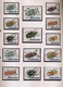 BURUNDI 1971  BUGS / INSECTS  25  STAMPS  STAMPS NEW NEUF   2 SCANS - Altri & Non Classificati