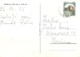 3030 " SALUTI DA RODELLO - 4 VEDUTE " CARTOLINA POSTALE ORIGINALE  SPED. - Saluti Da.../ Gruss Aus...