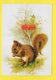 CPA ֎ Animaux ֎ Eichhörnchen ֎ Ecureil ֎ Squirrel  ֎ Signé Illustrateur - Sonstige & Ohne Zuordnung