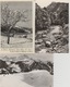 19 / 3 / 484  -   MORZINE  ( 74 )  -  LOT  DE  11  C P S M   DIVERSES - Toutes Scanées - 5 - 99 Cartoline