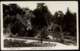 Ref 1282 - Early Real Photo Postcard - Botanical Gardens Wellington New Zealand 1d To UK - New Zealand