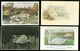 Beau Lot De 20 Cartes Postales De Fantaisie  Cygne  Cygnes   Mooi Lot Van 20 Postkaarten Van Fantasie  Zwaan  Zwanen - 5 - 99 Cartes