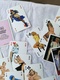 Jeu De 54 Cartes D'A. ASLAN - Playing Cards (classic)