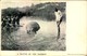 HIPPOPOTAMUS, Nilpferd - Sent From Britsh Southafrica To Germany About 1907 - Autres & Non Classés