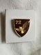 72nd SERBIA HAWK SPECIAL MILITARY UNIT Scout Diversion Battalion BADGE PIN INSIGNIA Reconnaissance BRIGADE  PARACHUTING - Police & Gendarmerie