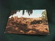 STORIA POSTALE  FRANCOBOLLO  LIBYAN ARAB JAMAHIRIYA CYRENE GENERAL VIEW OF THE ROMAN FORUM LIBIA PIEGHE - Libia