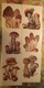Russia. MUSHROOMS - 29 Postcards Lot -  Mushroom - Old Postcard - - Champignon 1976 - Pilze