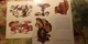 Russia. MUSHROOMS - 29 Postcards Lot -  Mushroom - Old Postcard - - Champignon 1976 - Mushrooms