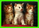 CATS, CHATS - 3 BEAUX CHATONS - KRUGER No 900/37 - - Chats