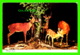 CERF, CHEVREUILS - MIDNIGHT SNACK - GREETINGS FROM THE POCONO MOUNTAINS - TRAVEL IN 1957 - - Autres & Non Classés