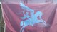 AIRBORNE VLAG/ FLAG MET PEGASUS SYMBOOL – 100 X 150 CM. - Foto"s For Condition , New / Nouve.  ( Originaal) - Flaggen