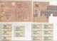 Carte D'Alimentation 92 Montrouge Person 1946 Tickets Carburant Auto Dix Deux Hauts De Seine - Documents Historiques