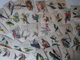 Ornithologie Collection De 40 Cartes  Thème Les Oiseaux De John Gould Dimension 9x14 Légende Au Verso 88 Photos - Oiseaux