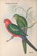 Delcampe - Ornithologie Collection De 40 Cartes  Thème Les Oiseaux De John Gould Dimension 9x14 Légende Au Verso 88 Photos - Oiseaux