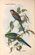 Delcampe - Ornithologie Collection De 40 Cartes  Thème Les Oiseaux De John Gould Dimension 9x14 Légende Au Verso 88 Photos - Oiseaux