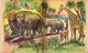 Delcampe - Visite Au Zoo Par Germaine Bouret - Collection "Pavillon" N°10 - 1954 - Other & Unclassified