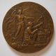 ANCIENNE MEDAILLE LES PIGEONS VOYAGEURS PRIX BRIVE 1928. BRONZE ARTHUS BERTRAND - Professionals/Firms