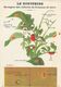 Avis Aux Cultivateurs: Lutte Contre Le Doryphore (ravageur Des Cultures De Pommes De Terre) - Illustration M.L. Dufrenoy - Cultures