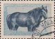 Delcampe - USED STAMPS Mongolia - Mongolian Animals	 -  1958 - Mongolie