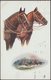 Horses, Military Gun Team, 1917 - Tuck's Oilette Postcard - Horses