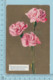 Carte Postale CPA -Flowers Roses, - Used Voyagé En 1911 + USA Stamp, Send To Easton  N.Y. - Autres & Non Classés