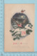 Carte Postale CPA -Christmas, Birds,  - Used Voyagé En 192? + USA Stamp, Send To Newbury Vermont - Autres & Non Classés