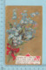 Carte Postale CPA - ClovFlowers - Used Voyagé En 1910 + USA Stamp, Cover Benton N.H. - Autres & Non Classés