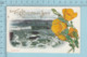 Carte Postale CPA - Christmas, Pacific Océan - Used Voyagé En 1916 + USA Stamp, Cover San Francisco CAL - Autres & Non Classés