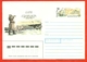 Russia 1991(Ex-USSR). Envelope With Printed Original Stamp. Polar Explorer Sterlegov D.V. - Honden