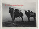 2 Photos-1938-transport Des Armes Par Des Mulets Dans Les Montagnes-n°2 - War, Military