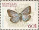 USED STAMPS Mongolia - Butterflies	 -  1963 - Mongolia