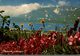 VIE EN MONTAGNE PHOTO BERNARD GRANGE - Photographs