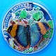 REPUBLIQUE CENTRAFRICAINE 1000 F 2014 SILVER PROOF 3D BUTTERFLY PAPILLONS EXOTIQUES WILDLIFE WEIGHT 25g TITOLO 0,925 MIN - Central African Republic